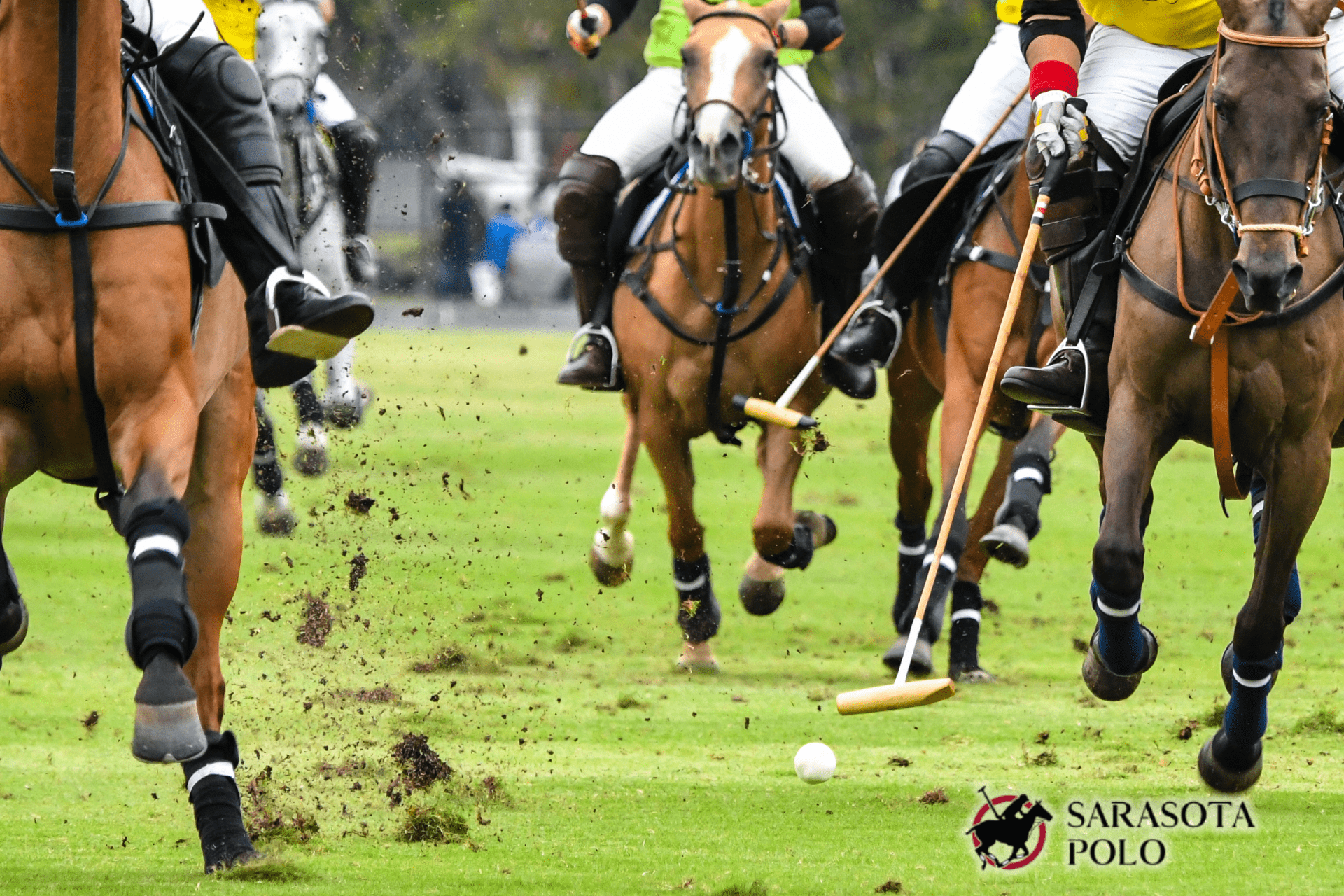 CGI Sarasota Polo Club (1)